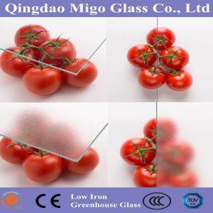 4mm gehärtetes Glas für Gewächshausdächer und Wände
