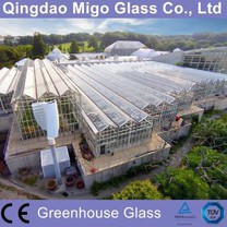 4mm ausgeglichenes Glas für kommerzielles Gewächshaus
